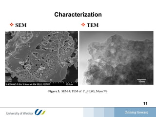 Characterization SEM TEM Figure 3.   SEM & TEM of  C 12  H 2 SO 4  Meso Nb 