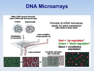 DNA Microarrays
 