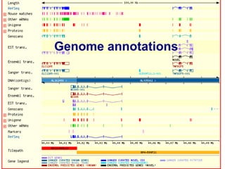 Genome annotations
 