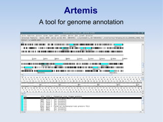 Artemis
A tool for genome annotation
 