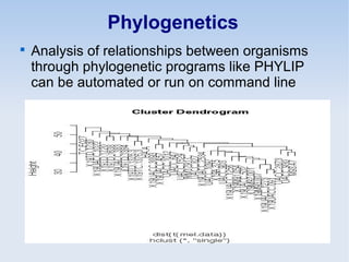 Phylogenetics

Analysis of relationships between organisms
through phylogenetic programs like PHYLIP
can be automated or run on command line
 