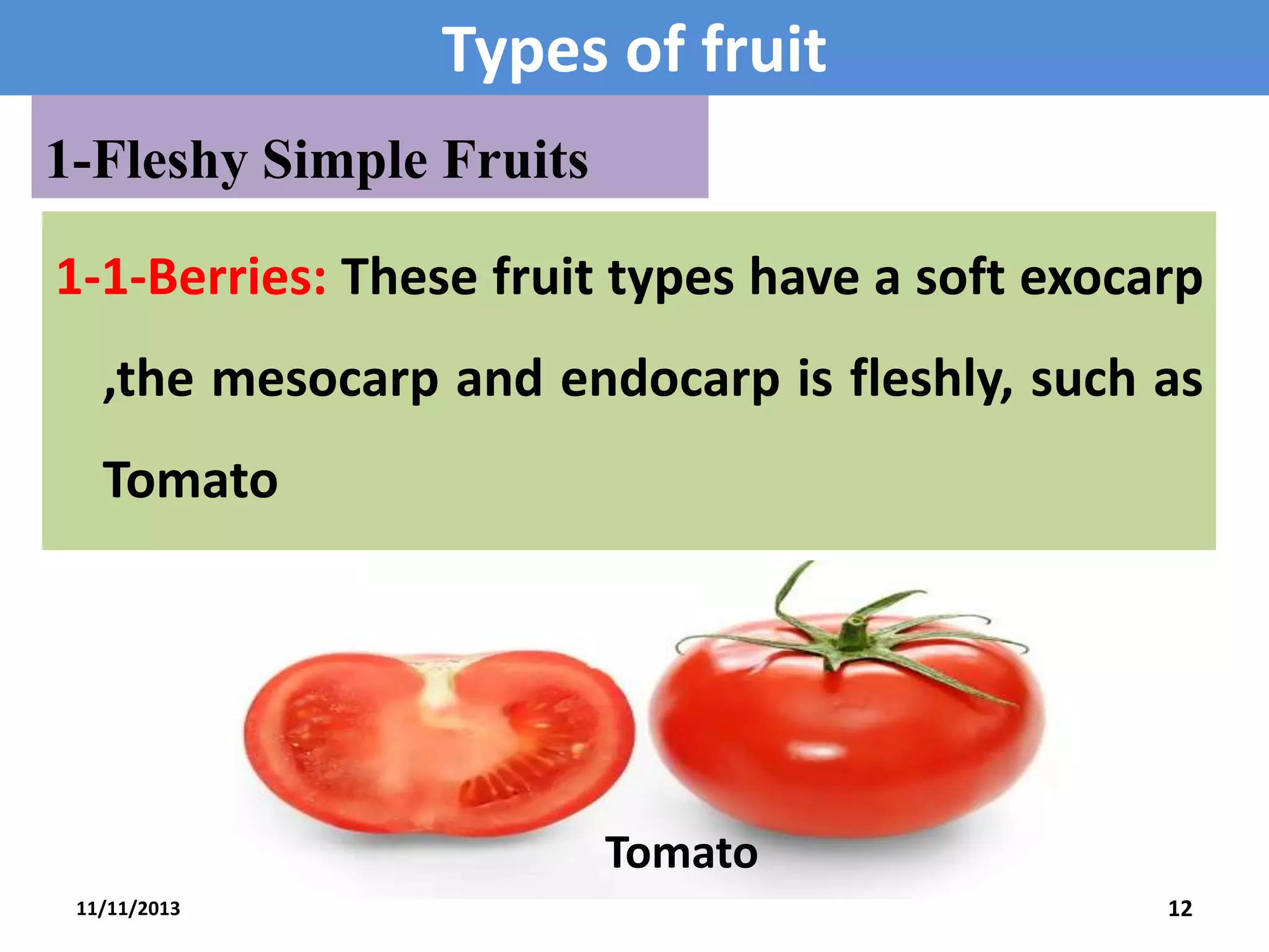 Types of fruit
1-Fleshy Simple Fruits
1-1-Berries: These fruit types have a soft exocarp
,the mesocarp and endocarp is fleshly, such as
Tomato

Tomato
11/11/2013

12

 