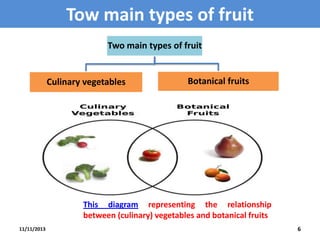 Tow main types of fruit
Two main types of fruit

Culinary vegetables

Botanical fruits

This diagram representing the relationship
between (culinary) vegetables and botanical fruits
11/11/2013

6

 
