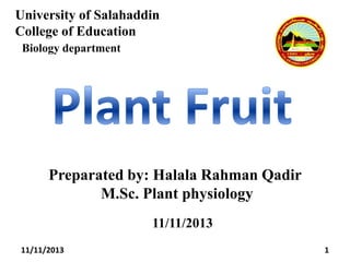 University of Salahaddin
College of Education
Biology department

Preparated by: Halala Rahman Qadir
M.Sc. Plant physiology
11/11/2013
11/11/2013

1

 