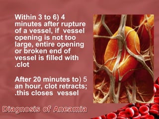 Within 3 to 6( 4
minutes after rupture
of a vessel, if vessel
opening is not too
large, entire opening
or broken end of
vessel is filled with
.clot
After 20 minutes to( 5
an hour, clot retracts;
.this closes vessel

 