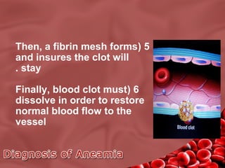 Then, a fibrin mesh forms( 5
and insures the clot will
. stay
Finally, blood clot must( 6
dissolve in order to restore
normal blood flow to the
vessel

 