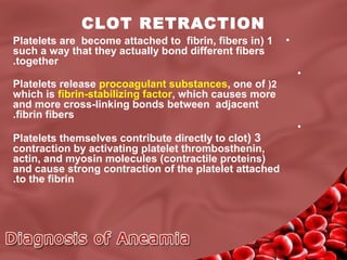 CLOT RETRACTION
Platelets are become attached to fibrin, fibers in( 1
such a way that they actually bond different fibers
.together
Platelets release procoagulant substances, one of (2
which is fibrin-stabilizing factor, which causes more
and more cross-linking bonds between adjacent
.fibrin fibers
Platelets themselves contribute directly to clot( 3
contraction by activating platelet thrombosthenin,
actin, and myosin molecules (contractile proteins(
and cause strong contraction of the platelet attached
.to the fibrin

•
•

•

 