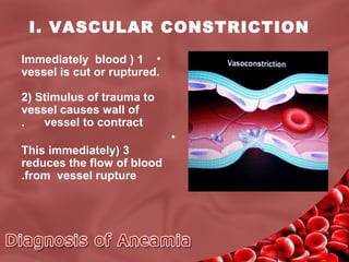 I. VASCULAR CONSTRICTION
Immediately blood ( 1 •
vessel is cut or ruptured.
2( Stimulus of trauma to
vessel causes wall of
.
vessel to contract
•
This immediately( 3
reduces the flow of blood
.from vessel rupture

 