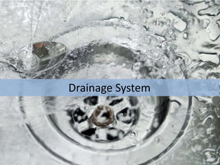 Drainage System

 