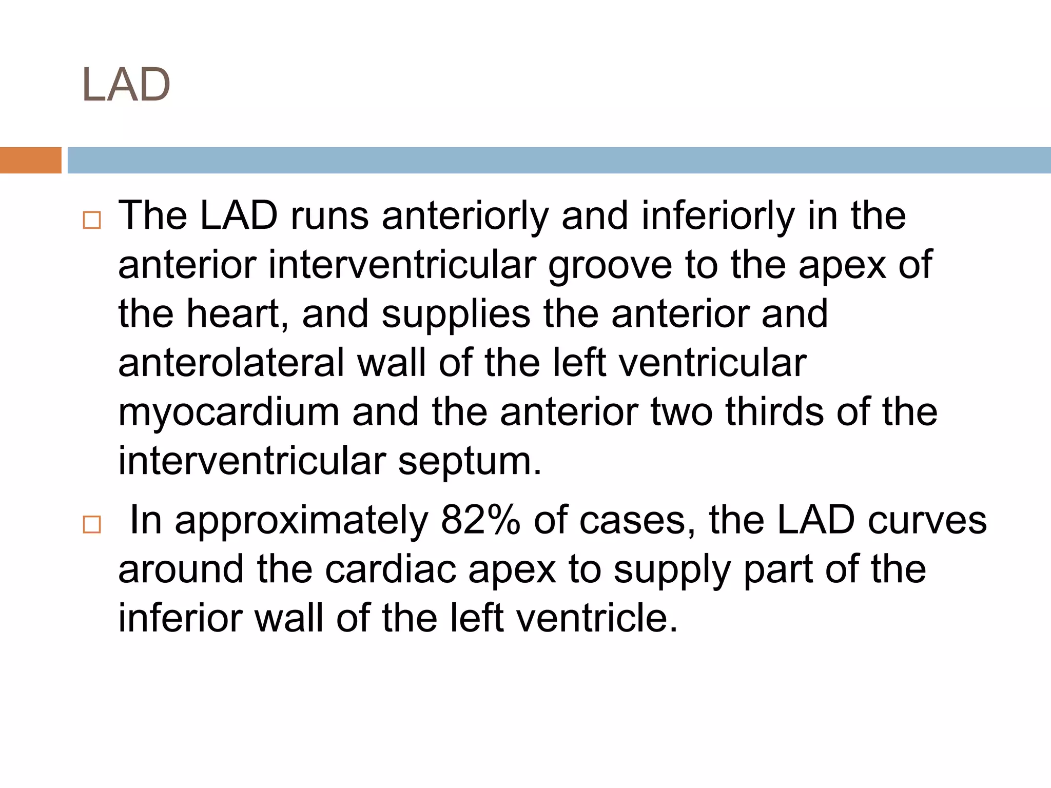 LAD
 The LAD runs anteriorly and inferiorly in the
anterior interventricular groove to the apex of
the heart, and supplies the anterior and
anterolateral wall of the left ventricular
myocardium and the anterior two thirds of the
interventricular septum.
 In approximately 82% of cases, the LAD curves
around the cardiac apex to supply part of the
inferior wall of the left ventricle.
 