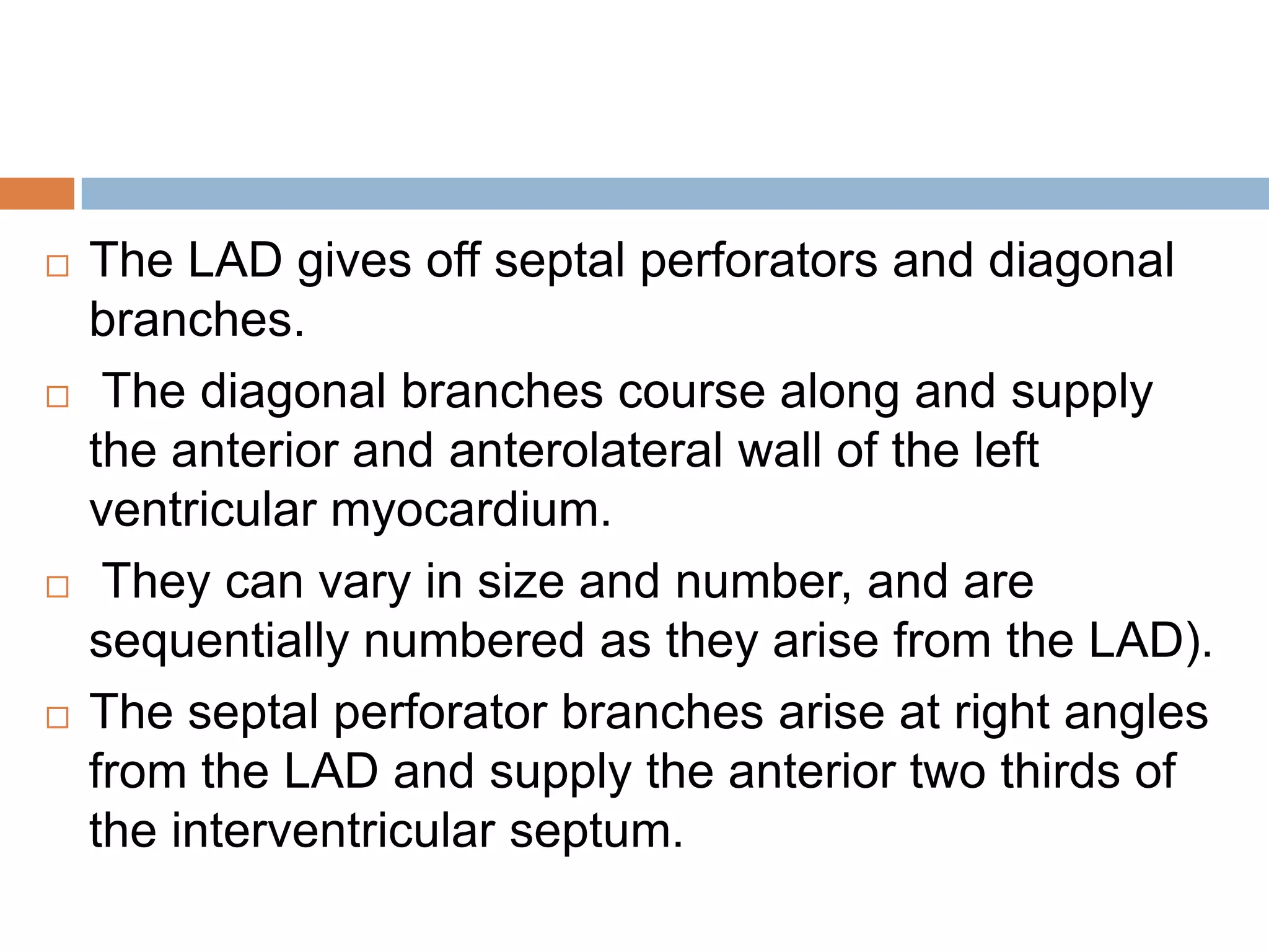  The LAD gives off septal perforators and diagonal
branches.
 The diagonal branches course along and supply
the anterior and anterolateral wall of the left
ventricular myocardium.
 They can vary in size and number, and are
sequentially numbered as they arise from the LAD).
 The septal perforator branches arise at right angles
from the LAD and supply the anterior two thirds of
the interventricular septum.
 