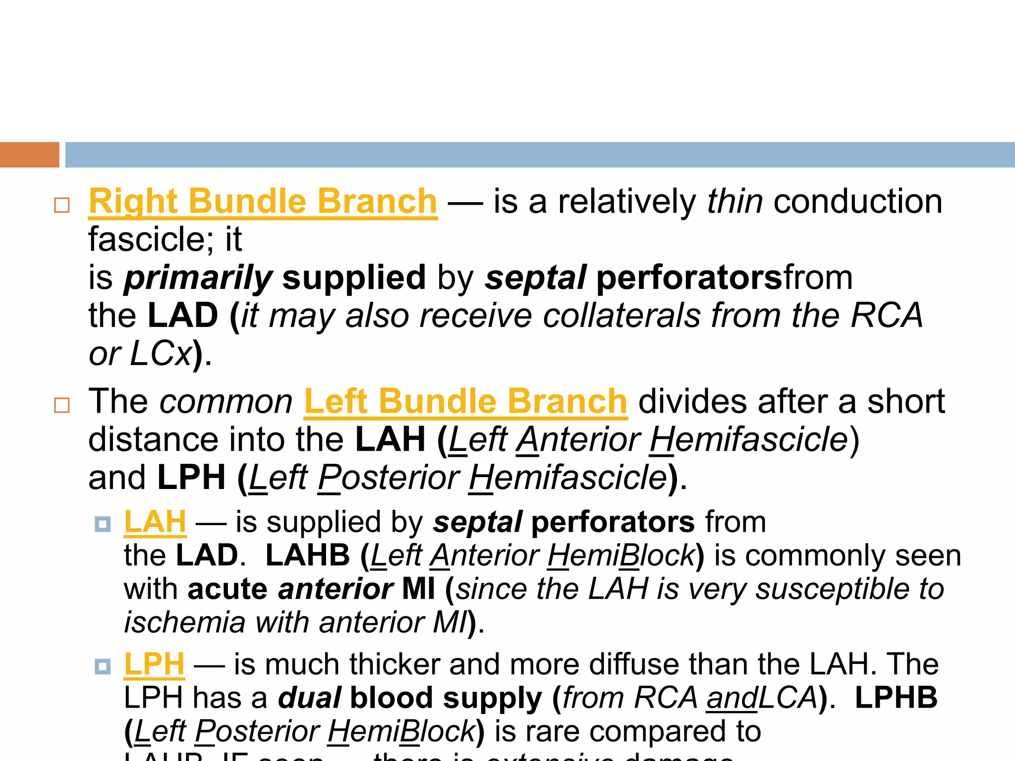  Right Bundle Branch — is a relatively thin conduction
fascicle; it
is primarily supplied by septal perforatorsfrom
the LAD (it may also receive collaterals from the RCA
or LCx).
 The common Left Bundle Branch divides after a short
distance into the LAH (Left Anterior Hemifascicle)
and LPH (Left Posterior Hemifascicle).
 LAH — is supplied by septal perforators from
the LAD. LAHB (Left Anterior HemiBlock) is commonly seen
with acute anterior MI (since the LAH is very susceptible to
ischemia with anterior MI).
 LPH — is much thicker and more diffuse than the LAH. The
LPH has a dual blood supply (from RCA andLCA). LPHB
(Left Posterior HemiBlock) is rare compared to
 