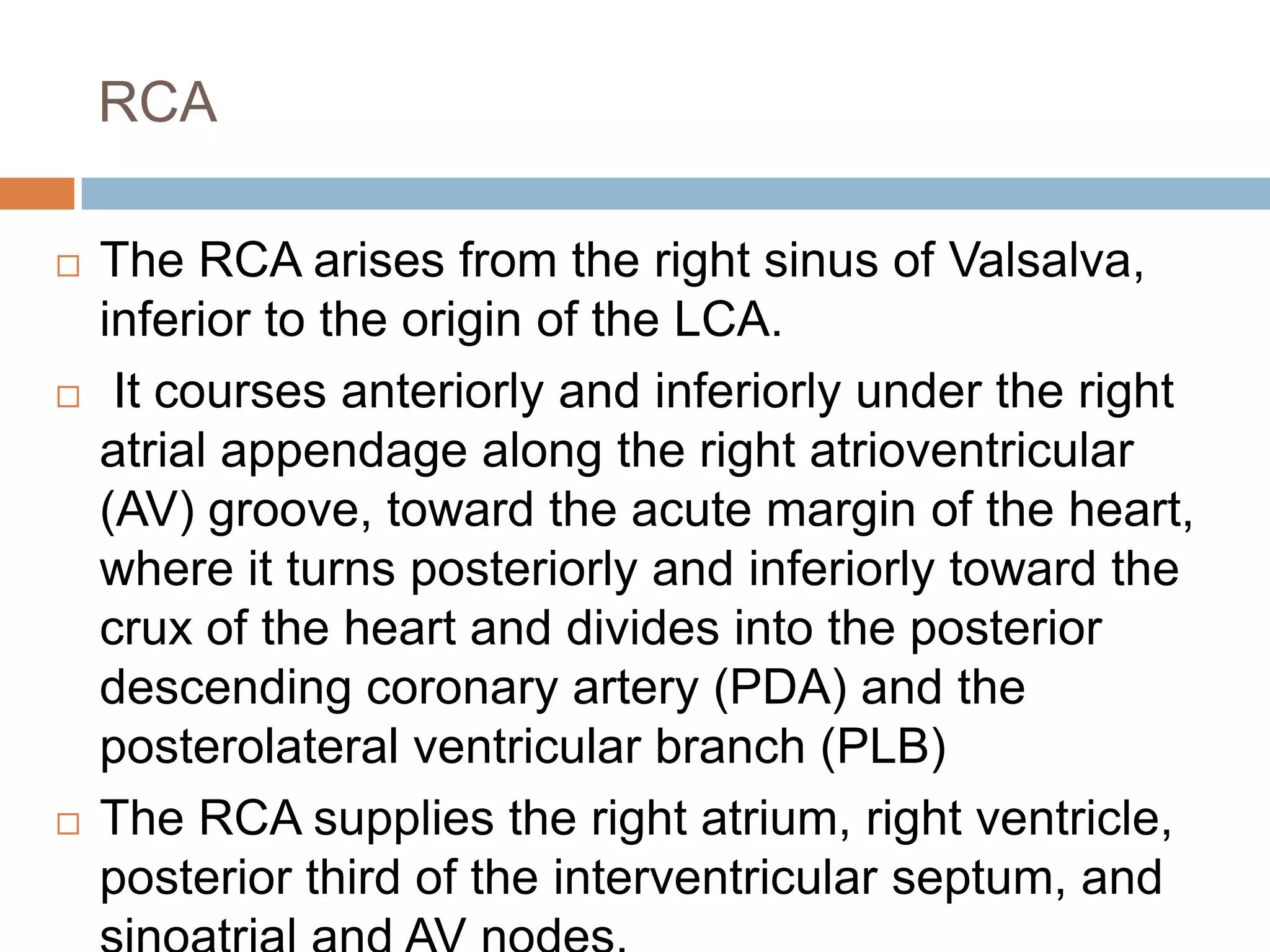 RCA
 The RCA arises from the right sinus of Valsalva,
inferior to the origin of the LCA.
 It courses anteriorly and inferiorly under the right
atrial appendage along the right atrioventricular
(AV) groove, toward the acute margin of the heart,
where it turns posteriorly and inferiorly toward the
crux of the heart and divides into the posterior
descending coronary artery (PDA) and the
posterolateral ventricular branch (PLB)
 The RCA supplies the right atrium, right ventricle,
posterior third of the interventricular septum, and
 