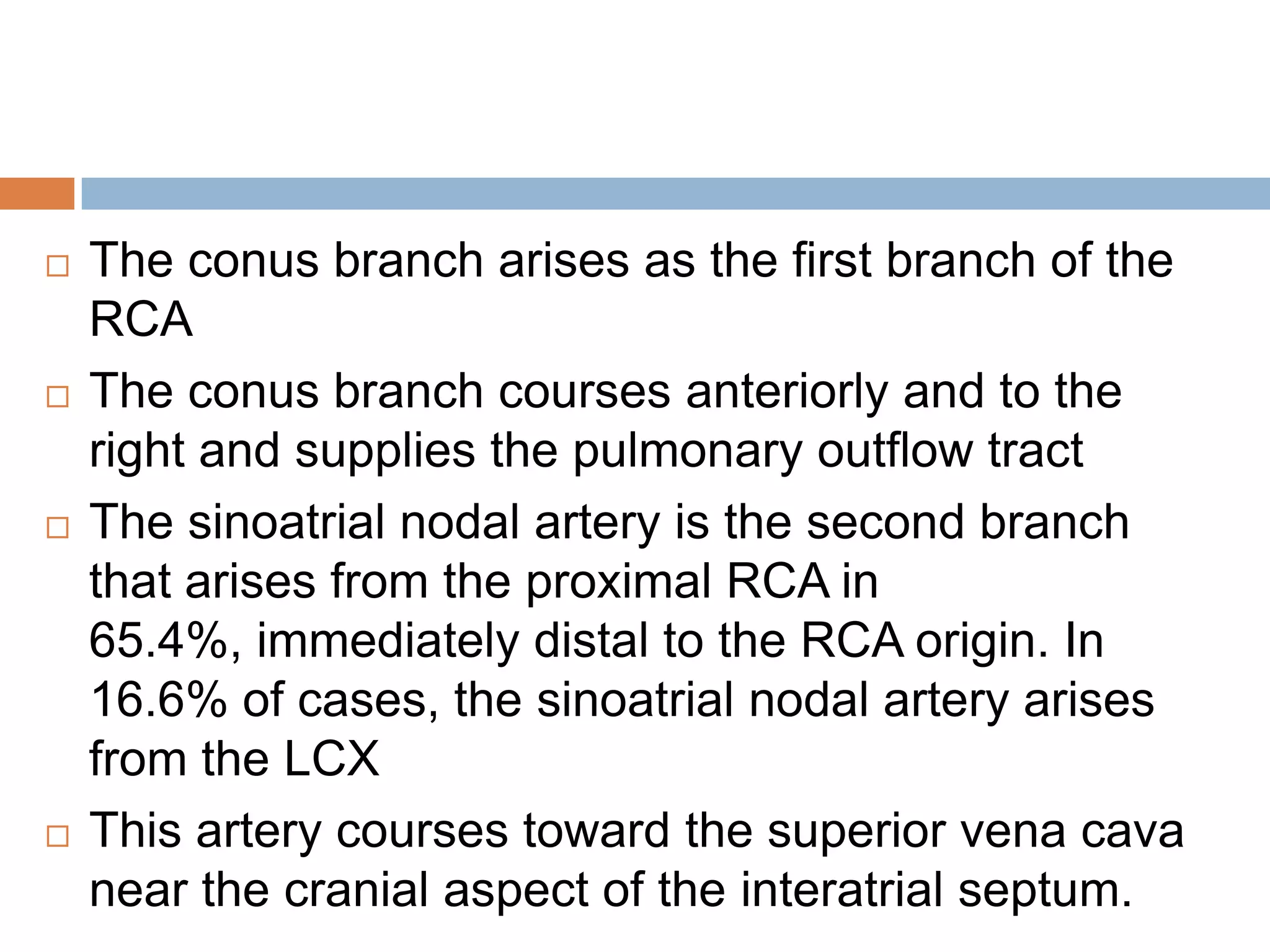  The conus branch arises as the first branch of the
RCA
 The conus branch courses anteriorly and to the
right and supplies the pulmonary outflow tract
 The sinoatrial nodal artery is the second branch
that arises from the proximal RCA in
65.4%, immediately distal to the RCA origin. In
16.6% of cases, the sinoatrial nodal artery arises
from the LCX
 This artery courses toward the superior vena cava
near the cranial aspect of the interatrial septum.
 