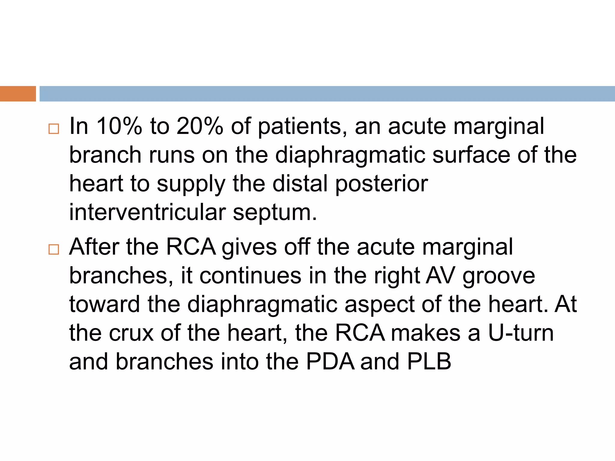  In 10% to 20% of patients, an acute marginal
branch runs on the diaphragmatic surface of the
heart to supply the distal posterior
interventricular septum.
 After the RCA gives off the acute marginal
branches, it continues in the right AV groove
toward the diaphragmatic aspect of the heart. At
the crux of the heart, the RCA makes a U-turn
and branches into the PDA and PLB
 