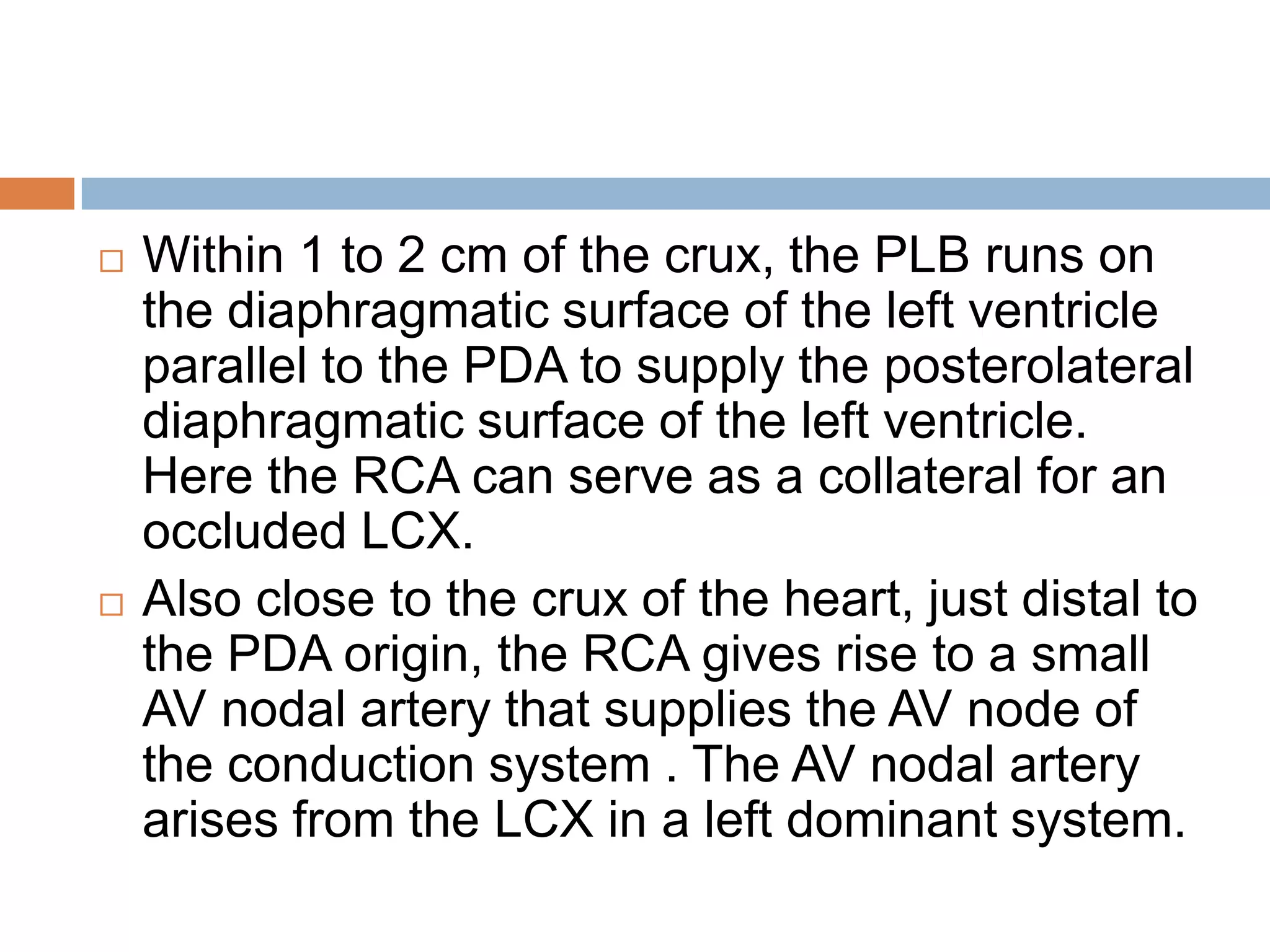  Within 1 to 2 cm of the crux, the PLB runs on
the diaphragmatic surface of the left ventricle
parallel to the PDA to supply the posterolateral
diaphragmatic surface of the left ventricle.
Here the RCA can serve as a collateral for an
occluded LCX.
 Also close to the crux of the heart, just distal to
the PDA origin, the RCA gives rise to a small
AV nodal artery that supplies the AV node of
the conduction system . The AV nodal artery
arises from the LCX in a left dominant system.
 