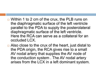 ECG LOCALISATION OF CULPRIT ARTERY IN STEMI | PPTX
