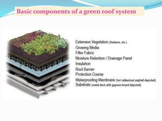 Basic components of a green roof system 
 