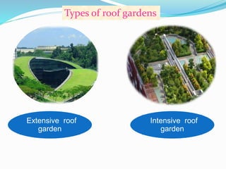 Types of roof gardens 
Extensive roof 
garden 
Intensive roof 
garden 
 