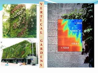 V 
E 
R 
T 
I 
C 
A 
L 
G 
A 
R 
D 
E 
N 
S 
 