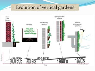 Evolution of vertical gardens 
 