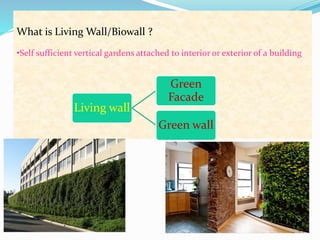 What is Living Wall/Biowall ? 
•Self sufficient vertical gardens attached to interior or exterior of a building 
Living wall 
Green 
Facade 
Green wall 
 