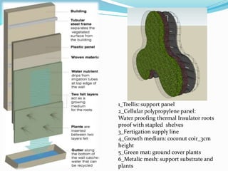 1_Trellis: support panel 
2_Cellular polypropylene panel: 
Water proofing thermal Insulator roots 
proof with stapled shelves 
3_Fertigation supply line 
4_Growth medium: coconut coir_3cm 
height 
5_Green mat: ground cover plants 
6_Metalic mesh: support substrate and 
plants 
 