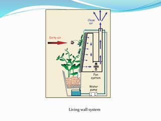 Living wall system 
 