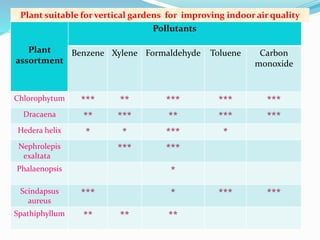 Plant suitable for vertical gardens for improving indoor air quality 
Plant 
assortment 
Pollutants 
Benzene Xylene Formaldehyde Toluene Carbon 
monoxide 
Chlorophytum *** ** *** *** *** 
Dracaena ** *** ** *** *** 
Hedera helix * * *** * 
Nephrolepis 
*** *** 
exaltata 
Phalaenopsis * 
Scindapsus 
aureus 
*** * *** *** 
Spathiphyllum ** ** ** 
 