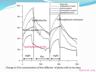 Dieffenbachia Chlorophytumcomosum 
Pachira aquatica 
Spathiphyllum kochii 
night day night 
Change in CO2 concentration of four different of plants with in two days 
Yarn et al., 2013 
 