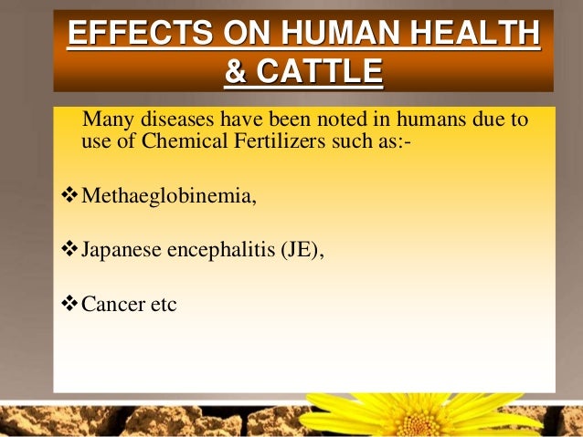 Implications Of Fertilizer Use Vis A Vis Environmental Pollution