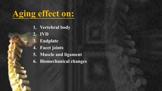 Effects Of Aging on Spine