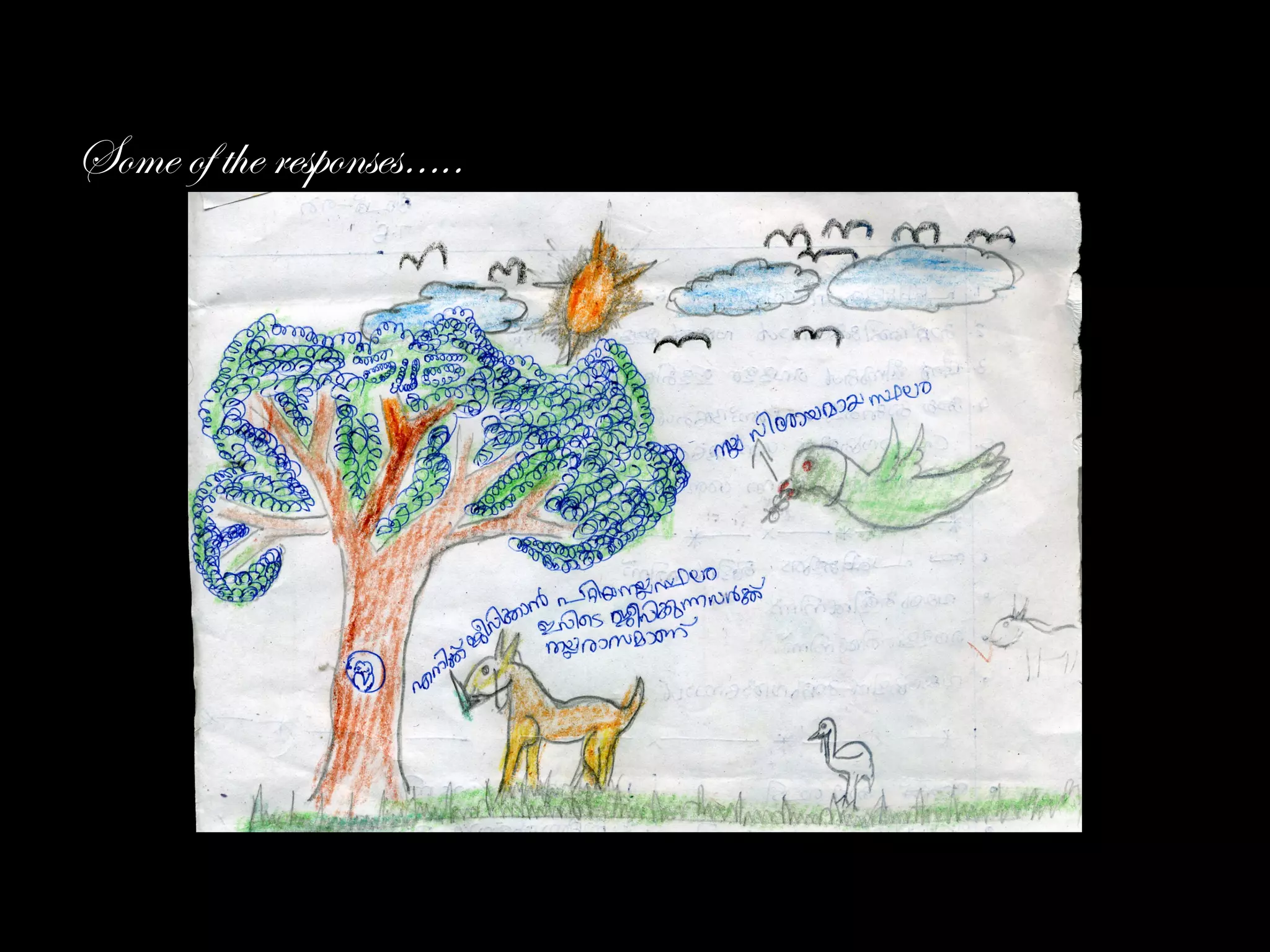 Some of the responses…..
 