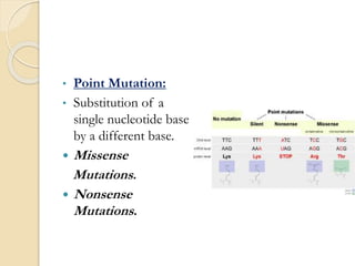 • Point Mutation:
• Substitution of a
single nucleotide base
by a different base.
 Missense
Mutations.
 Nonsense
Mutations.
 