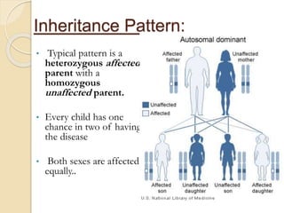 Inheritance Pattern:
• Typical pattern is a
heterozygous affected
parent with a
homozygous
unaffected parent.
• Every child has one
chance in two of having
the disease
• Both sexes are affected
equally..
 