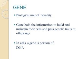 GENE
 Biological unit of heredity.
 Gene hold the information to build and
maintain their cells and pass genetic traits to
offsprings
 In cells, a gene is portion of
DNA
 
