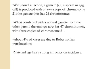 •With nondisjunction, a gamete (i.e., a sperm or egg
cell) is produced with an extra copy of chromosome
21; the gamete thus has 24 chromosomes
•When combined with a normal gamete from the
other parent, the embryo now has 47 chromosomes,
with three copies of chromosome 21.
•About 4% of cases are due to Robertsonian
translocations.
•Maternal age has a strong influence on incidence.
 