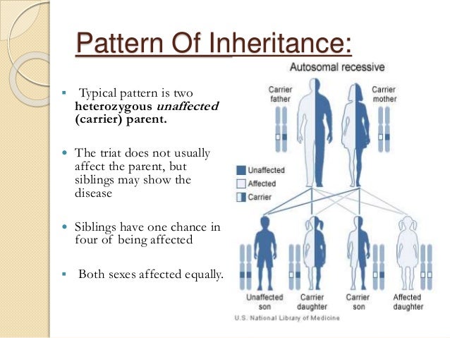 Genetic Inheritance And Chromosomal Disorders Best Genetic Inheritance Patterns Genetic Inheritance And Chromosomal Disorders Best Genetic Inheritance Patterns