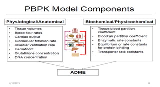 Physiologically Based Pharmacokinetic (PBPK) modeling of Nanoparticles ...