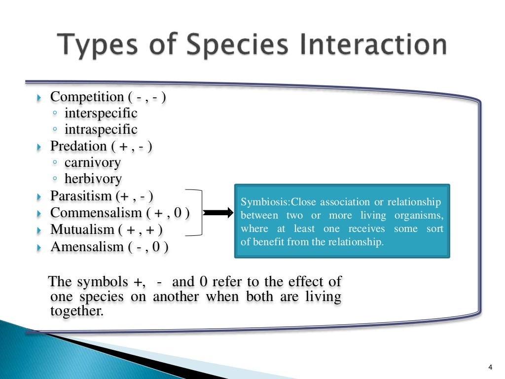 Species Interaction