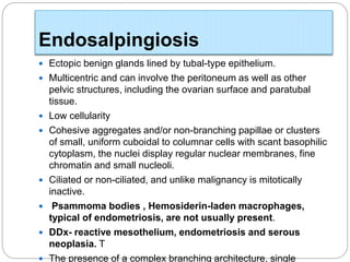 Endosalpingiosis
 Ectopic benign glands lined by tubal-type epithelium.
 Multicentric and can involve the peritoneum as well as other
pelvic structures, including the ovarian surface and paratubal
tissue.
 Low cellularity
 Cohesive aggregates and/or non-branching papillae or clusters
of small, uniform cuboidal to columnar cells with scant basophilic
cytoplasm, the nuclei display regular nuclear membranes, fine
chromatin and small nucleoli.
 Ciliated or non-ciliated, and unlike malignancy is mitotically
inactive.
 Psammoma bodies , Hemosiderin-laden macrophages,
typical of endometriosis, are not usually present.
 DDx- reactive mesothelium, endometriosis and serous
neoplasia. T
 The presence of a complex branching architecture, single
 