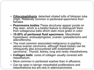  Ciliocytophthoria: detached ciliated tufts of fallopian tube
origin. Relatively common in peritoneal specimens from
females
 Psammoma bodies These structures appear purple on
Pap stain, which is a helpful feature to distinguish them
from collagenous balls which stain more green in color
 15-20% of peritoneal fluid specimens. Mesothelial
hyperplasia, endosalpingiosis, ovarian cystoadenoma and
adenofibroma.
 The most common associated malignancy is papillary
serous ovarian carcinoma, although these bodies can be
infrequently also encountered with endometrioid
carcinoma. Thyroid, kidney, lung and rarely mesothelioma
 Collagen balls: cores of collagen usually covered with
mesothelium.
 More common in peritoneal washes than in effusions.
 Can be seen in benign mesothelial proliferations and
mesothelioma but are rare in adenocarcinoma
 