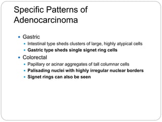 Specific Patterns of
Adenocarcinoma
 Gastric
 Intestinal type sheds clusters of large, highly atypical cells
 Gastric type sheds single signet ring cells
 Colorectal
 Papillary or acinar aggregates of tall columnar cells
 Palisading nuclei with highly irregular nuclear borders
 Signet rings can also be seen
 