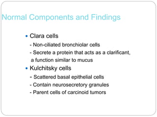 Normal Components and Findings
 Clara cells
- Non-ciliated bronchiolar cells
- Secrete a protein that acts as a clarificant,
a function similar to mucus
 Kulchitsky cells
- Scattered basal epithelial cells
- Contain neurosecretory granules
- Parent cells of carcinoid tumors
 
