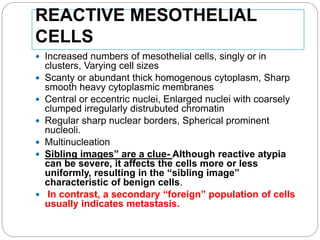 REACTIVE MESOTHELIAL
CELLS
 Increased numbers of mesothelial cells, singly or in
clusters, Varying cell sizes
 Scanty or abundant thick homogenous cytoplasm, Sharp
smooth heavy cytoplasmic membranes
 Central or eccentric nuclei, Enlarged nuclei with coarsely
clumped irregularly distrubuted chromatin
 Regular sharp nuclear borders, Spherical prominent
nucleoli.
 Multinucleation
 Sibling images” are a clue- Although reactive atypia
can be severe, it affects the cells more or less
uniformly, resulting in the “sibling image”
characteristic of benign cells.
 In contrast, a secondary “foreign” population of cells
usually indicates metastasis.
 