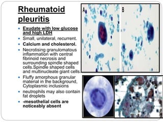 Rheumatoid
pleuritis
 Exudate with low glucose
and high LDH
 Small, unilateral, recurrent.
 Calcium and cholesterol.
 Necrotising granulomatous
inflammation with central
fibrinoid necrosis and
surrounding spindle shaped
cells.Spindle shaped cells
and multinucleate giant cells.
 Fluffy amorphous granular
material in the background,
Cytoplasmic inclusions
 neutrophils may also contain
fat droplets
 -mesothelial cells are
noticeably absent
 