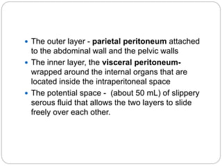  The outer layer - parietal peritoneum attached
to the abdominal wall and the pelvic walls
 The inner layer, the visceral peritoneum-
wrapped around the internal organs that are
located inside the intraperitoneal space
 The potential space - (about 50 mL) of slippery
serous fluid that allows the two layers to slide
freely over each other.
 