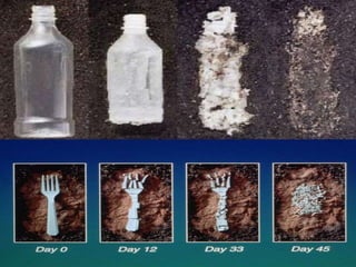PHB production by bacteria and its applications | PPTX