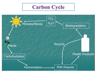 PHB production by bacteria and its applications | PPTX