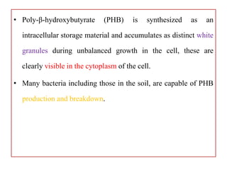 PHB production by bacteria and its applications | PPTX